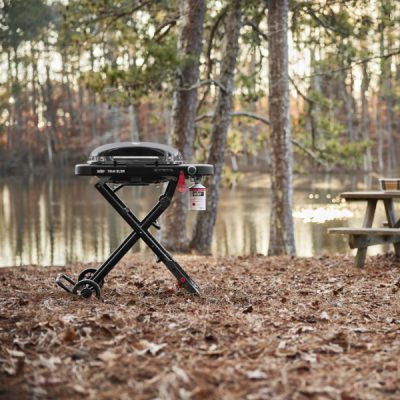 Weber Traveler Compact Main